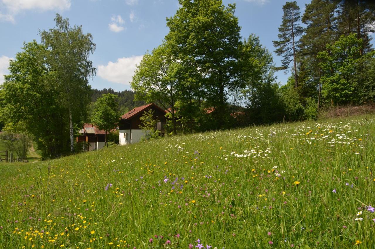 Ferienwohnung Wildgatter Grafenwiesen المظهر الخارجي الصورة